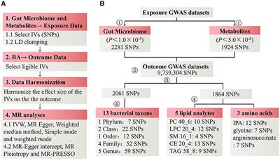 Mendelian randomization identifies causal associations between GWAS-associated bacteria and their metabolites and rheumatoid arthritis